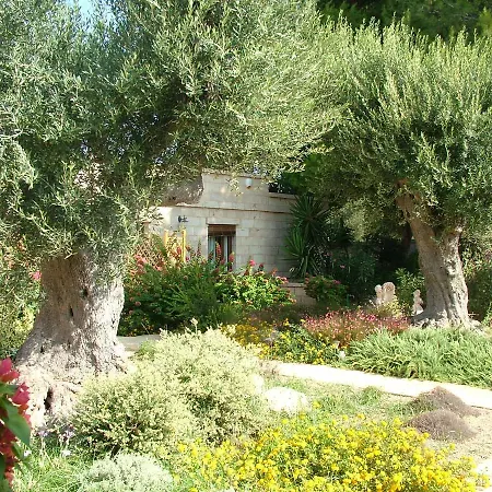 Urania Torre San Giovanni