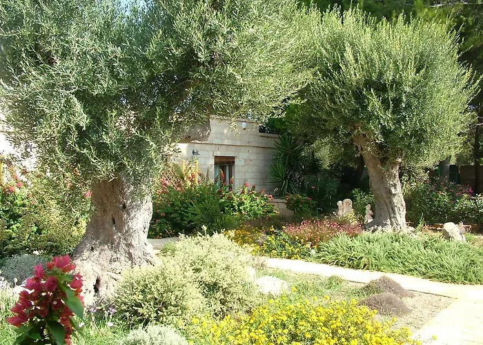 Urania טורה סן ג'ובאני אוג'נטו